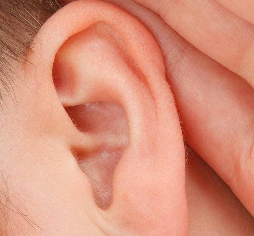 Schwindeltherapie Schwindeltherapie – ein Ohr